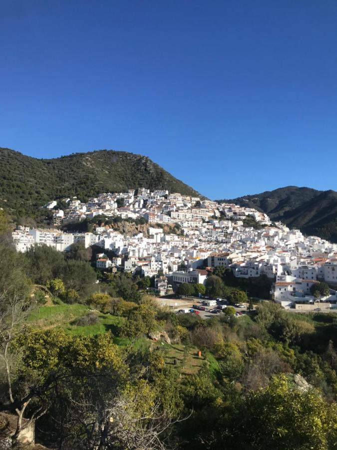 En Algun Lugar Del Mundo Appartement La Cala De Mijas Buitenkant foto