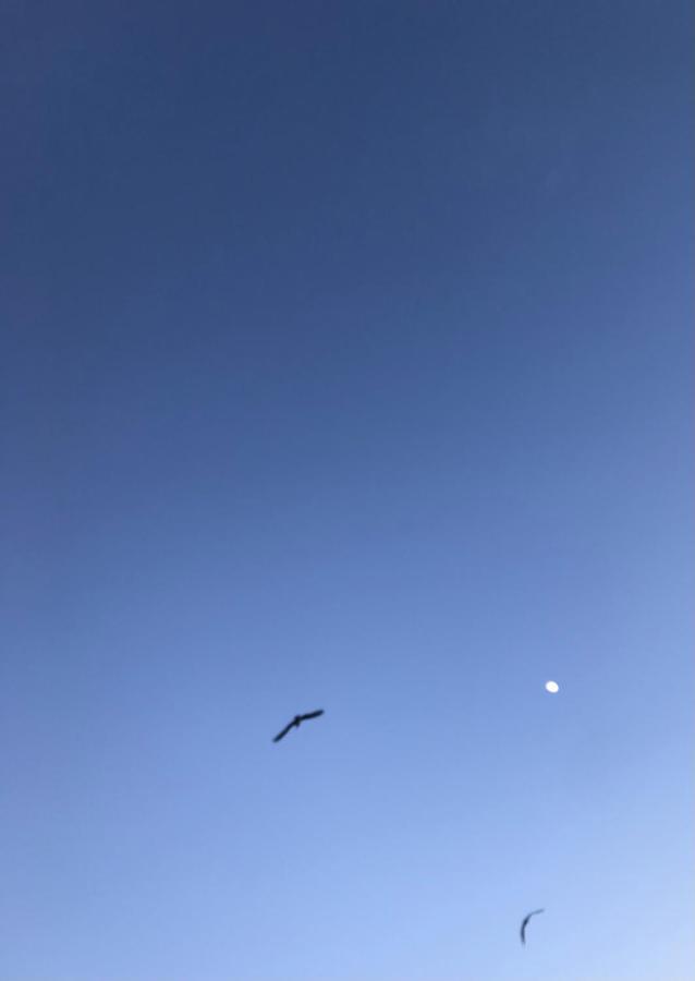 En Algun Lugar Del Mundo Appartement La Cala De Mijas Buitenkant foto